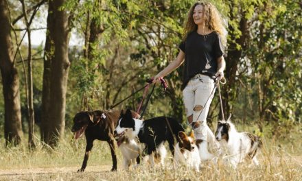 Dog walking: from side hustle to viable business
