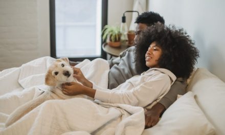 Intimate Lives of Brits Ruffled by Slumbering Pets, Survey Reveals