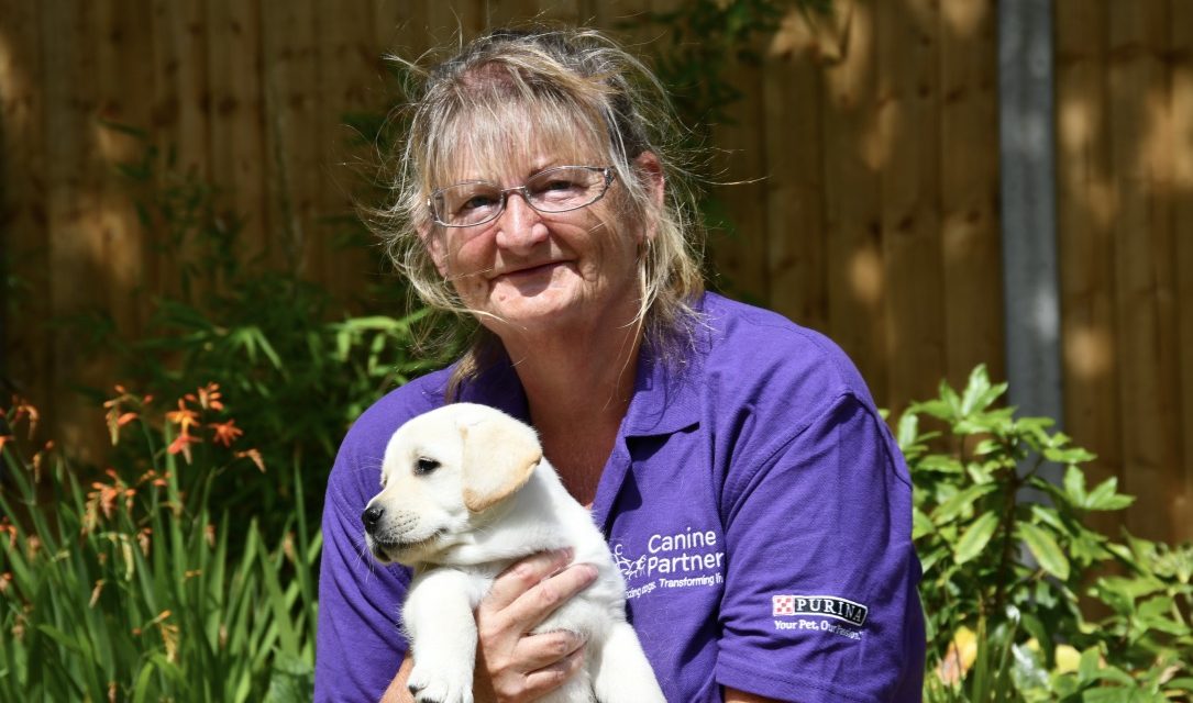Urgent Call for Puppy Parent Volunteers as National Assistance Dog Charity Relocates Headquarters