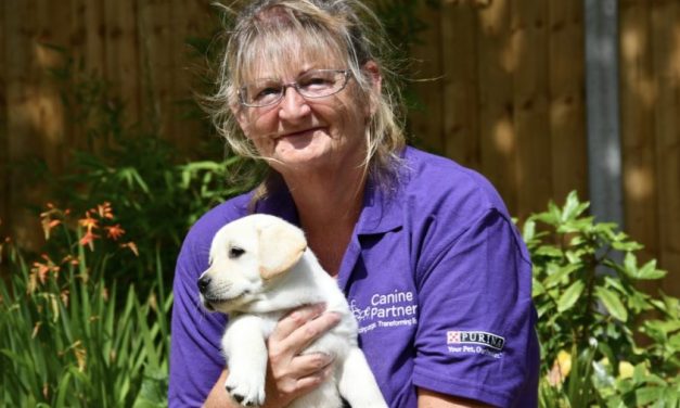 Urgent Call for Puppy Parent Volunteers as National Assistance Dog Charity Relocates Headquarters