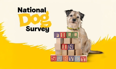 Dogs Trust Launches Second National Dog Survey as Charity Warns of Rise in Dog Behavior Issues