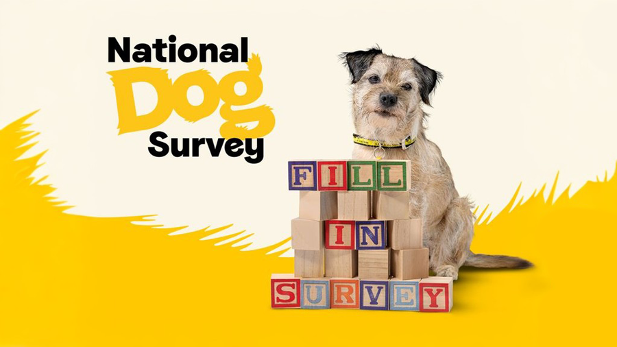 Dogs Trust Launches Second National Dog Survey as Charity Warns of Rise in Dog Behavior Issues