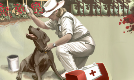 Dog Safety and First Aid: Essential Skills for Dog Professionals