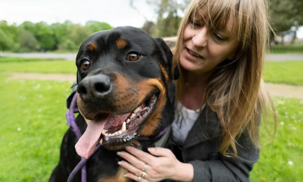 Survey Reveals Widespread Stereotyping of Dog Owners in the UK