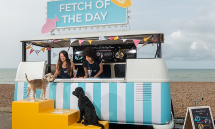 Introducing “Fetch of The Day” – UK’s First Beachside Food Service for Dogs
