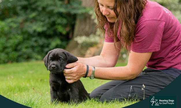 Pets at Home Launches Month-Long Summer Fundraiser to Support Hearing Dogs for Deaf People