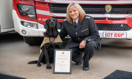 Britain’s Top Fire Investigation Dog, Reqs, Bows Out After Stellar Career
