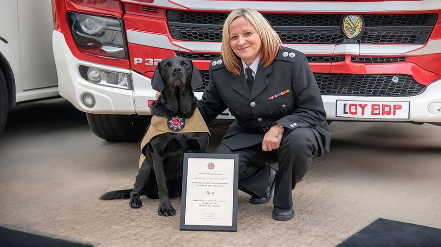 Britain’s Top Fire Investigation Dog, Reqs, Bows Out After Stellar Career