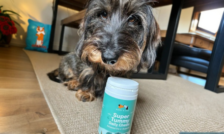 Exciting New Plant-Based Chews Launched by Buddy & Lola
