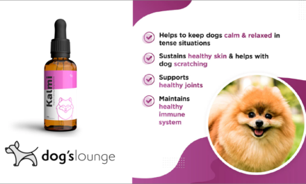 UK Dogs Find Solace in Storms with Organic Hemp Seed Oil