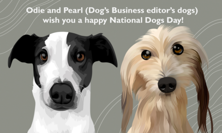 Dog’s Business Celebrates International Dog Day 2023