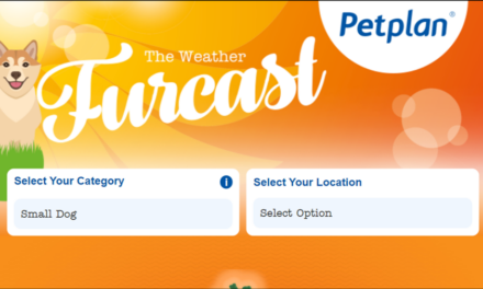 Petplan Introduces Real-time Weather Advisory Tool for Dog Owners Amid Rising Summer Temperatures