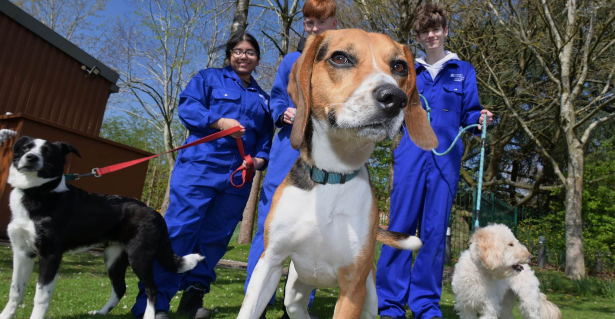 £600K INVESTMENT IN ANIMAL WELFARE FACILITIES AT SOLIHULL COLLEGE