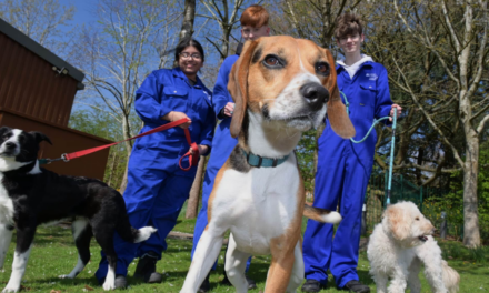 £600K INVESTMENT IN ANIMAL WELFARE FACILITIES AT SOLIHULL COLLEGE