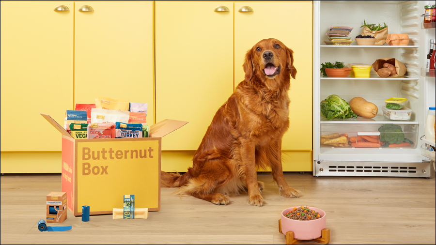 Butternut Box Secures £280 Million Investment to Expand Dog Food Delivery Service Across Europe