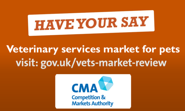 Review of Veterinary Services in the UK Underway by CMA