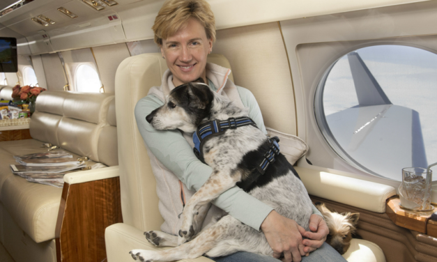 K9 JETS Introduces Direct Flights for Pets and Owners Between Los Angeles and London