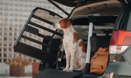 Thule Introduces Allax Dog Crate for Cars: A New Venture into Safe Dog Transportation