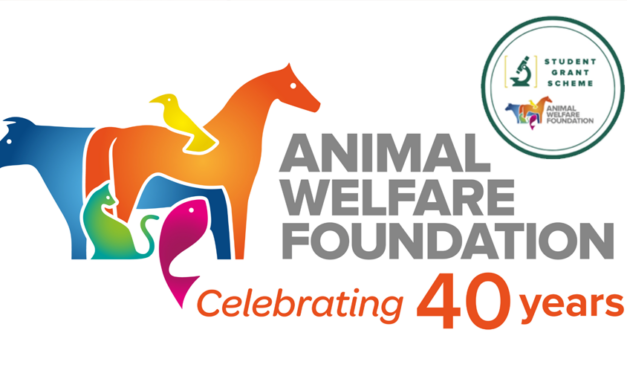 The Animal Welfare Foundation Invites Applications for its 2024 Student Grant Scheme