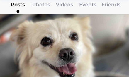 New Doghood App connects canine enthusiasts in the UK