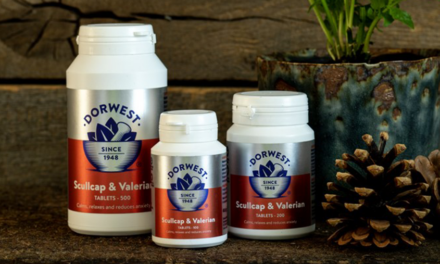 Dorwest’s Herbal Calming Supplements Show Promise in Reducing Dogs’ Firework Anxiety