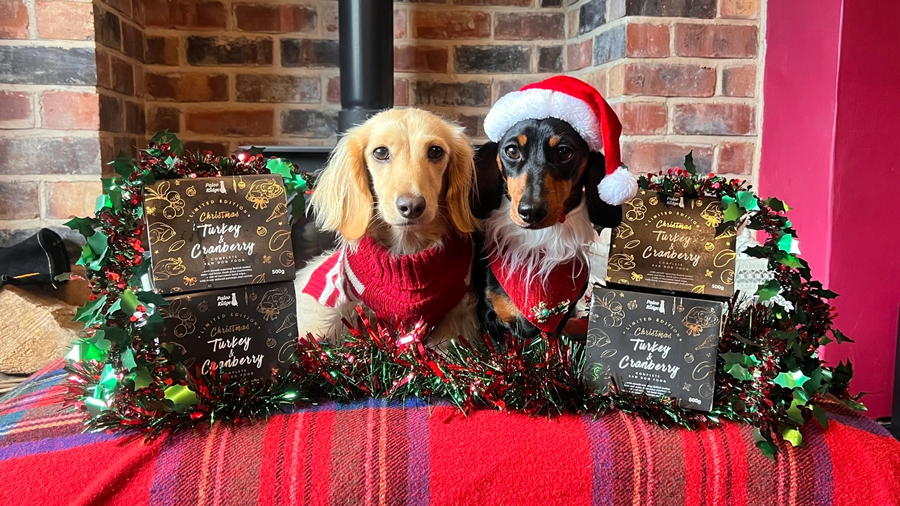 Paleo Ridge Launches Limited-Edition Christmas Turkey & Cranberry Feast for Festive Canine Celebrations