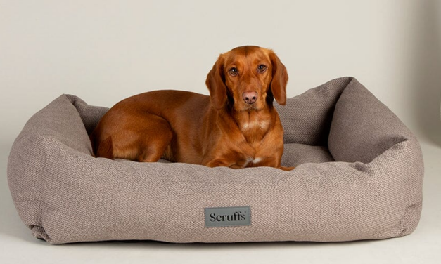 Scruffs Introduces Four New Luxury Pet Bed Collections for Autumn and Winter