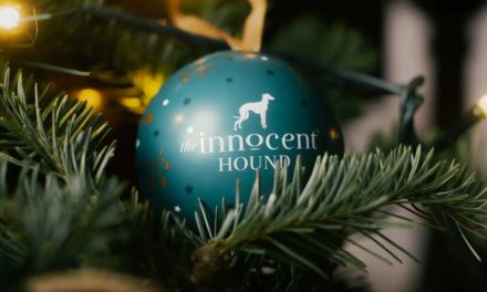 The Innocent Hound’s Festive Bauble: Gourmet Treats Meet Christmas Decor
