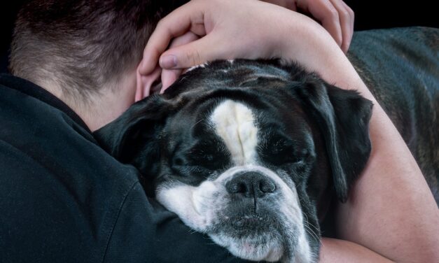 PetGuard celebrates the stress-relieving effect of pet ownership