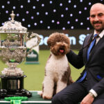 Crufts 2024 unleashes excitement: tickets now available for world’s premier canine celebration