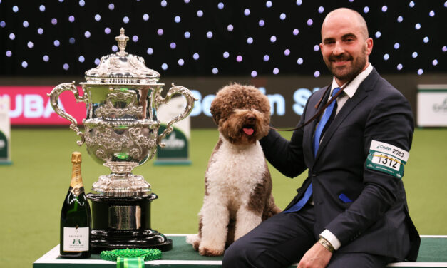 Crufts 2024 unleashes excitement: tickets now available for world’s premier canine celebration