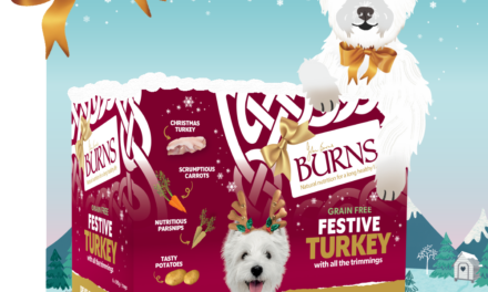 Burns Pet Nutrition unveils limited-edition Festive Turkey Recipe for Dogs