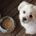 UK Pet Food Appoints New Chairs to Lead Sustainability Efforts