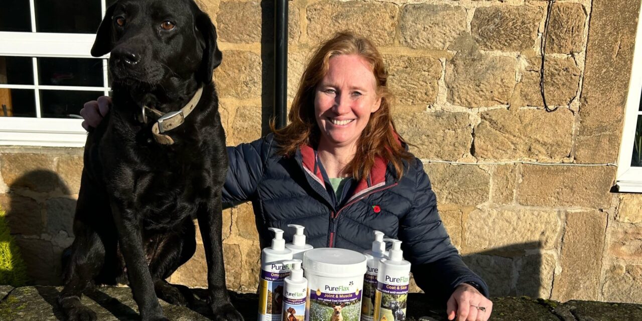 Yorkshire-Based PureFlax Introduces All-Natural Dog Supplements for Health