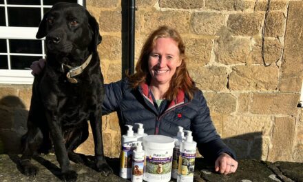 Yorkshire-Based PureFlax Introduces All-Natural Dog Supplements for Health