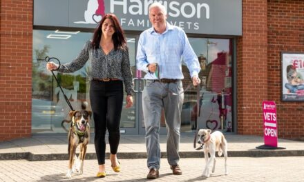 Harrison Family Vets Expands with £700,000 Investment Programme