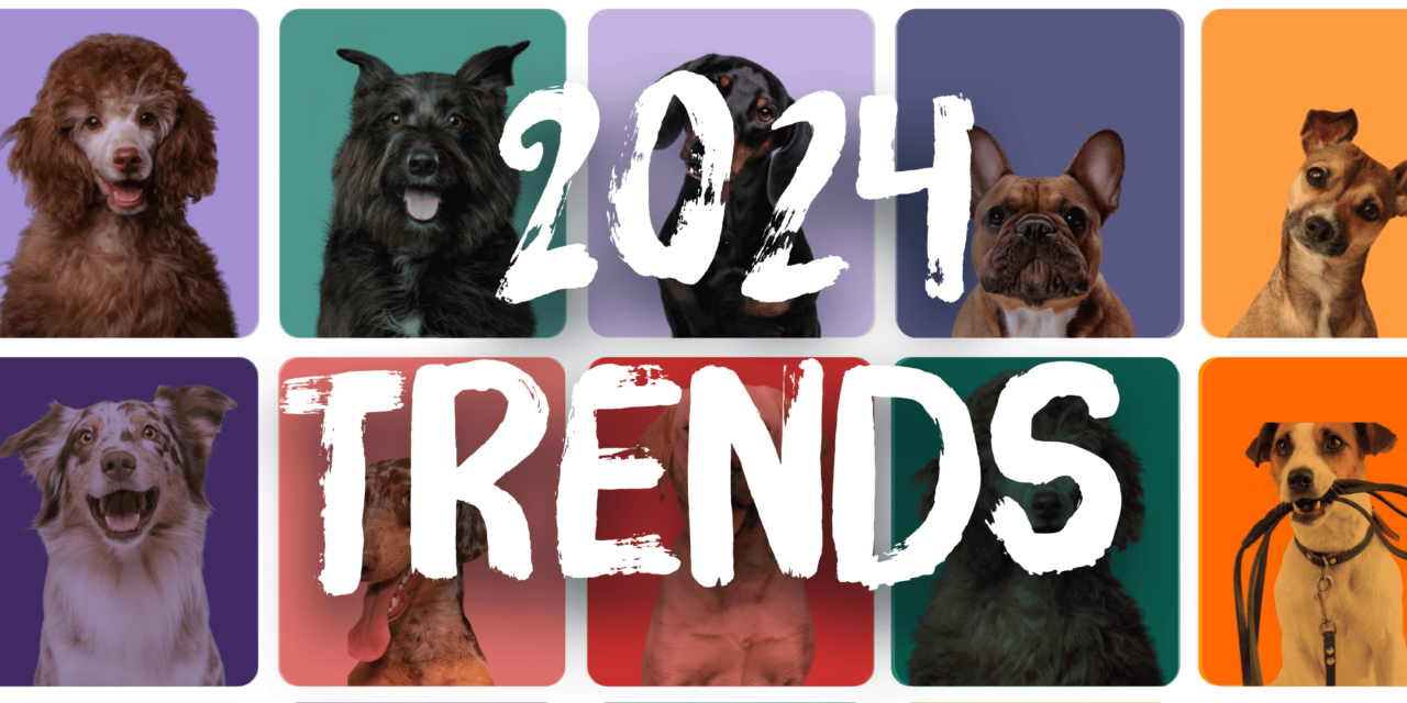 Canine Cottages Unveils 2024 Dog-Friendly Holiday Trends