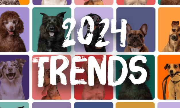 Canine Cottages Unveils 2024 Dog-Friendly Holiday Trends