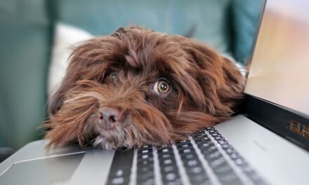Pet Industry Federation Unveils Webinar Schedule to Boost Professional Development