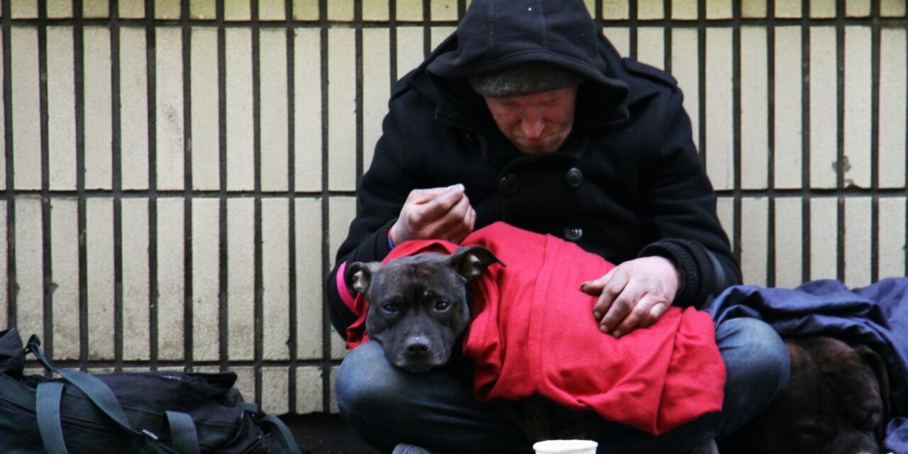 Street Paws Founder Awarded OBE for Support to Homeless People and Pets