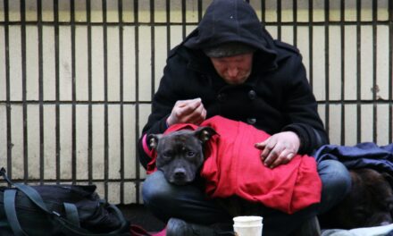 Street Paws Founder Awarded OBE for Support to Homeless People and Pets
