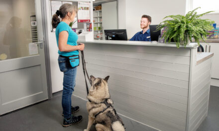 CVS Expands Charity Initiative, Supporting Guide Dogs with Digital Donations