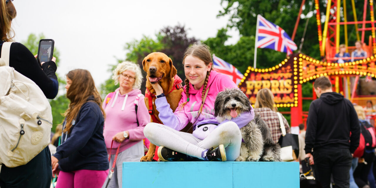Dogstival 2024: A Canine Celebration in New Forest