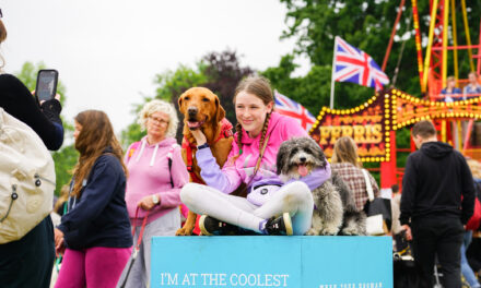 Dogstival 2024: A Canine Celebration in New Forest