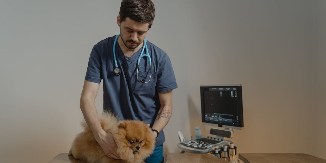 Veterinary Practice Management Software Market to Reach $674.5 Million by 2031