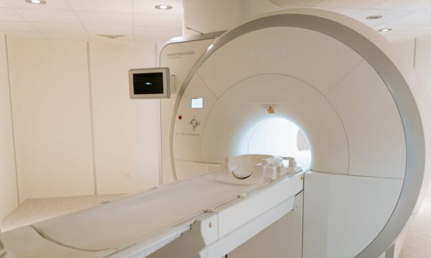 Global Veterinary CT Scanner Market Projected to Reach USD 417.27 Million by 2033