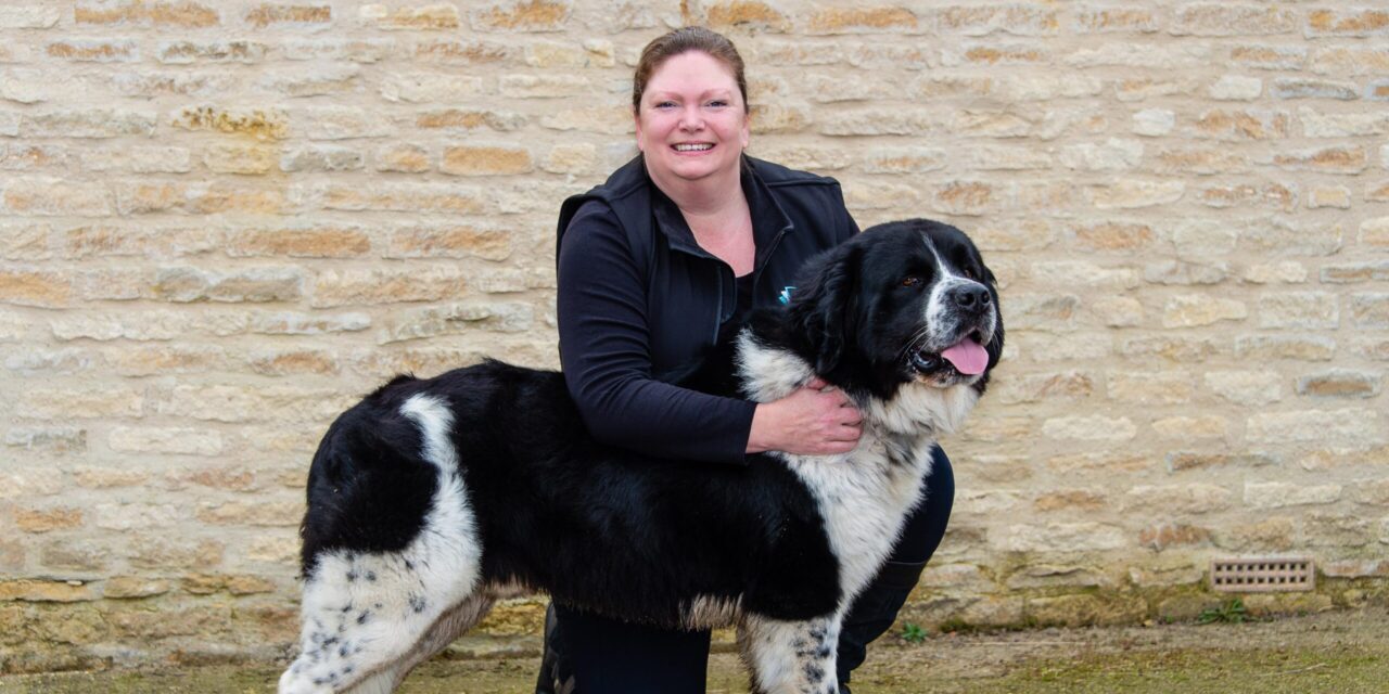 Academy of Veterinary Physiotherapy Offers Training to Dog Groomers