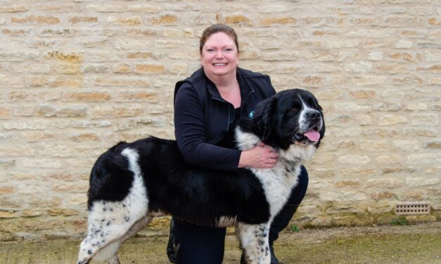 Academy of Veterinary Physiotherapy Offers Training to Dog Groomers