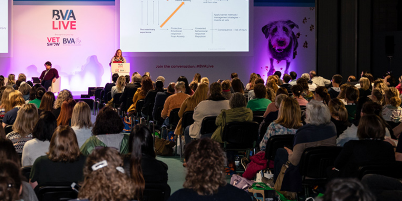 BVA Live 2024 to Highlight Contextualised Care in Veterinary Practice