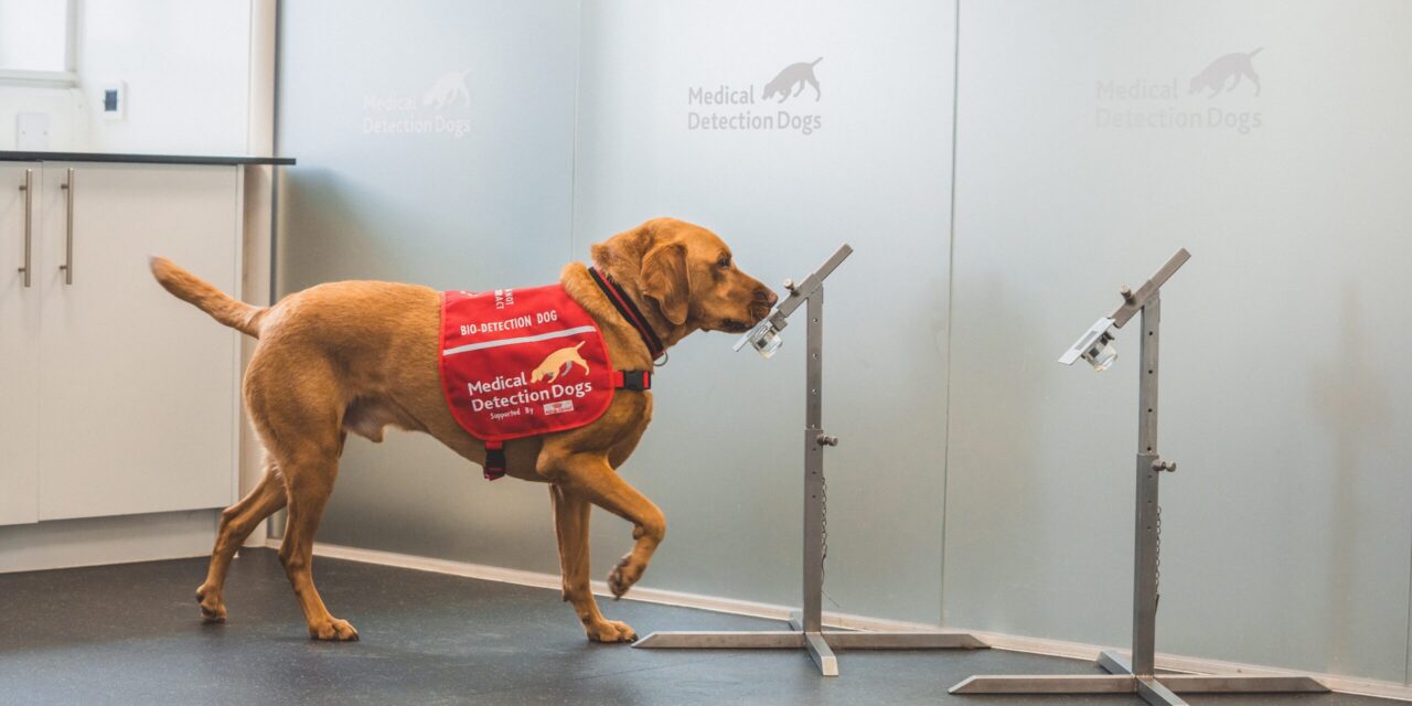 BETA International Partners with Medical Detection Dogs as Charity of the Year